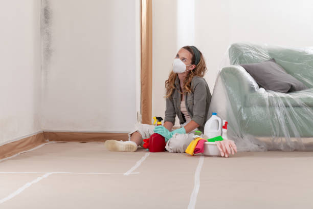 Reliable Mold Cleanup contractor in California, MD by Cheap Mold Removal